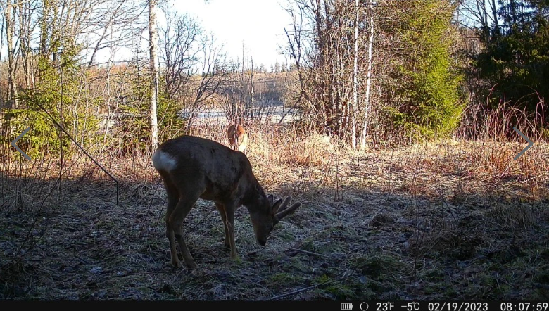 Fotopasca HIKMICRO M15 4G – 10 Mpx, Full HD video, SIM zdarma